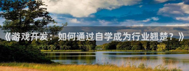 沐鸣2测速登陆：《游戏开发：如何通过自学成为行业翘楚？》